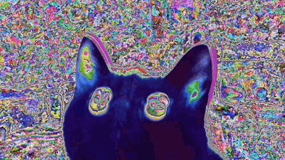 CatsEyes.gif