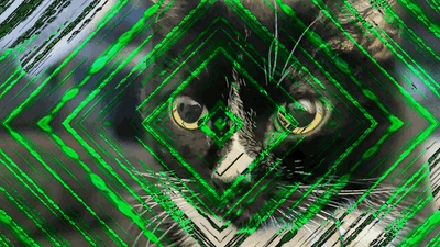Coder.Matrix.Short.gif