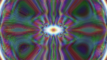 output_video2.mp4_17.gif