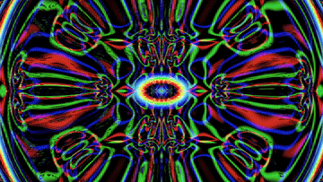 output_video2.mp4_23.gif
