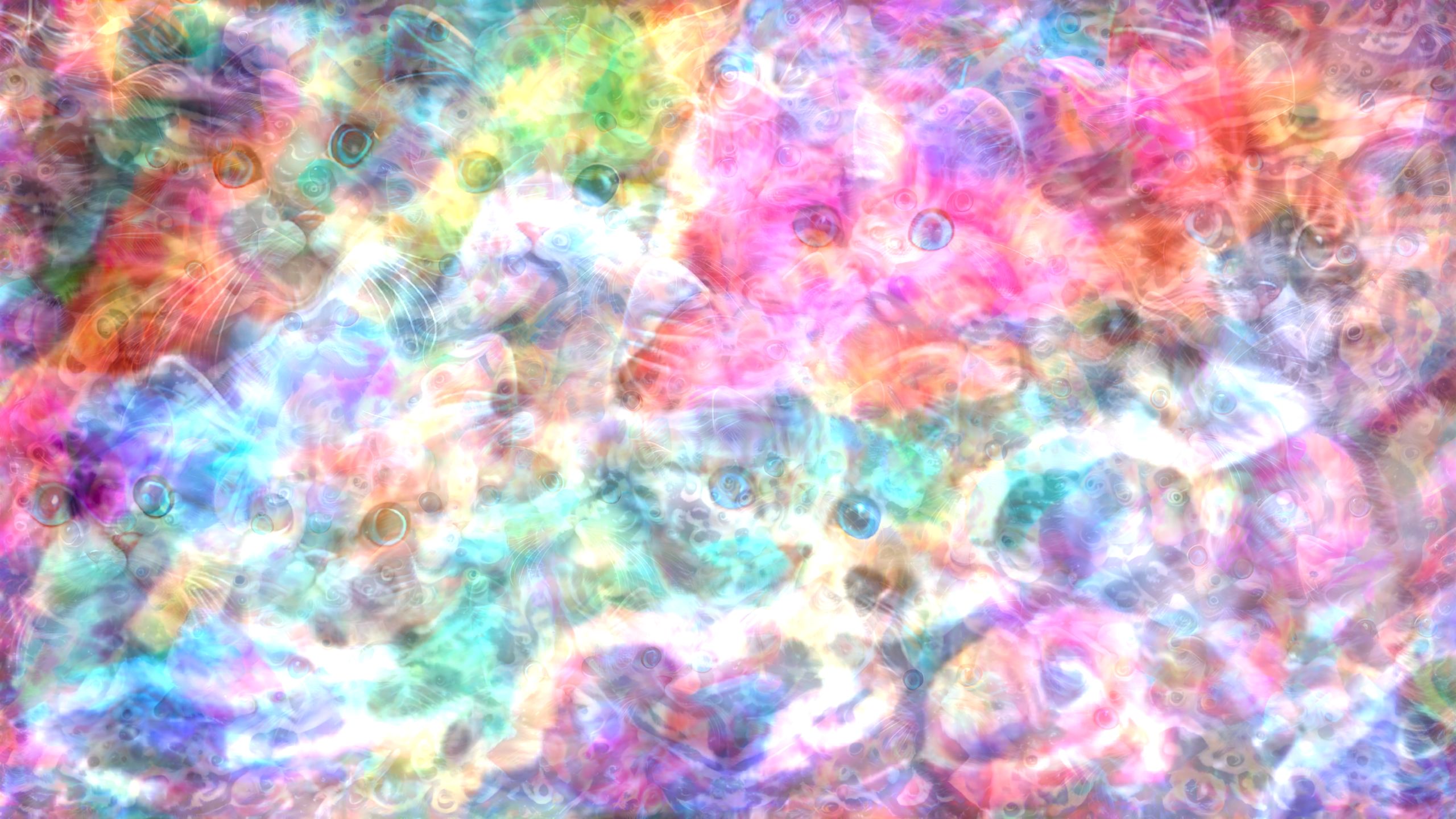 Cats in Heaven Variation 2