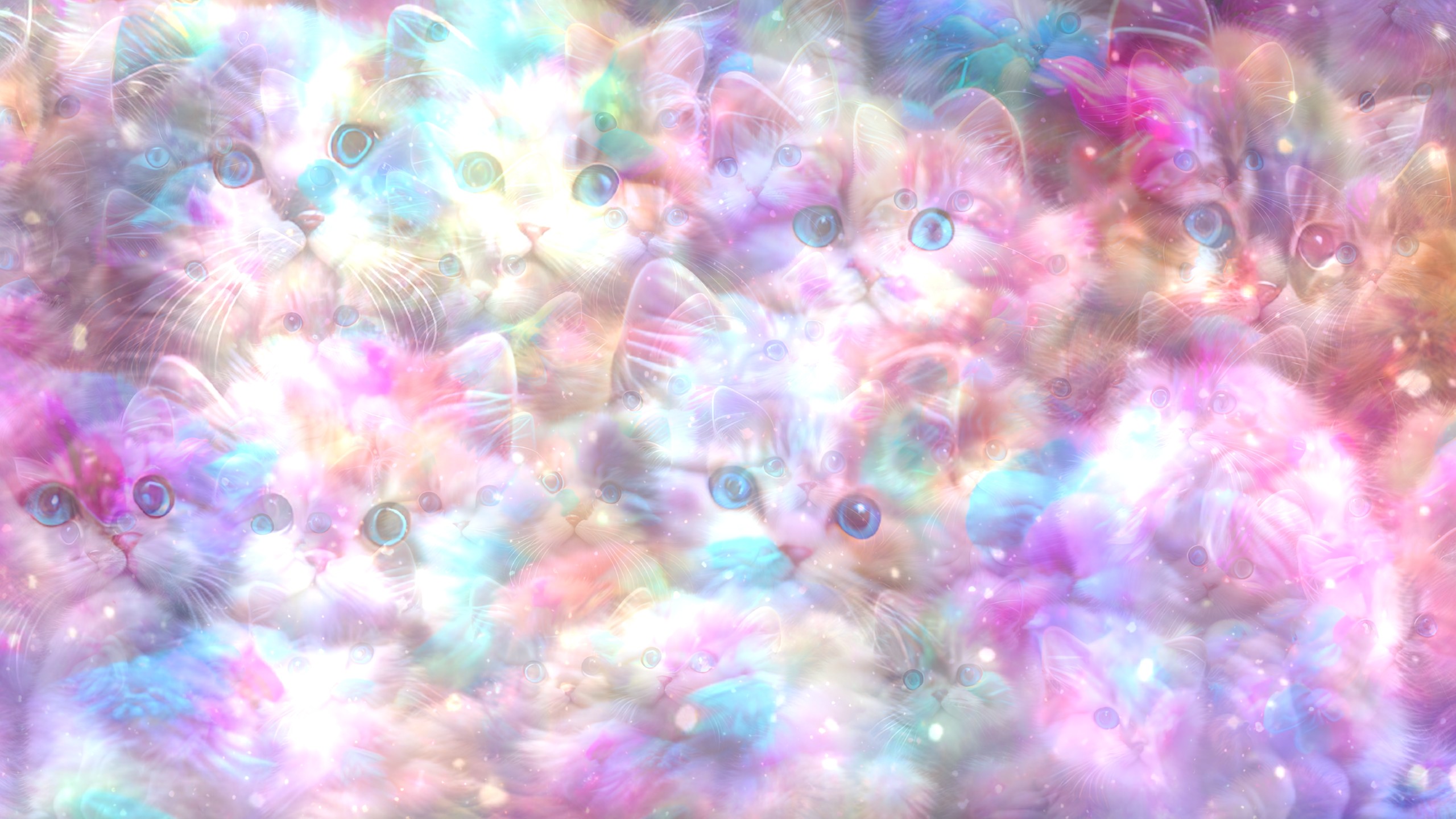 Cats in Heaven Variation 1